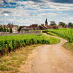 Photo de la campagne