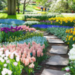 Photo d'un jardin botanique