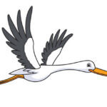 image d'un une cigogne