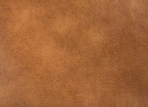 Photo du cuir