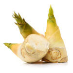 Les pousses de bambou