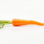 Photo d'une carotte