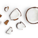 Photo de noix de coco