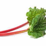 Photo de la rhubarbe